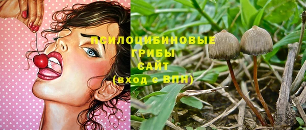 ECSTASY Лиски