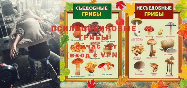 прущий лед Липки