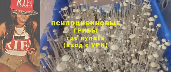 прущий лед Липки